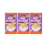 Kit 3x: Macarrão Macalfredo Frango Sem Glúten Holysoup 200g