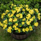 Flores Artificiais Nigirior, Resistente A Uv, 6 Pacotes Para Exterior