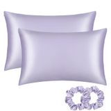 Fronha De Seda Alaska Bear 22 Momme Mulberry Silk, Conjunto De 2