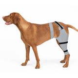 Dog Leg Sleeve Joypig Single Traseira Esquerda Preta Tamanho L