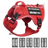 Colete De Malha Service Dog Winsee Com 10 Adesivos Para Cães Xl
