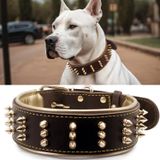 Coleira Para Cães, Cor Pp, Couro Cravado, Couro Genuíno, 5,5 Cm De Largura
