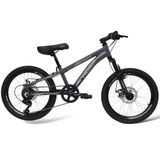 Bicicleta Rino Aro 20 Freio A Disco Cambio Shimano - Grafite - 13