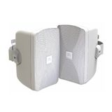 Caixa De Som Ambiente Jbl Control Sa-pro Csa5 Branca Par