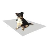 Tapete Pipidog Limpo P/necessidade/xixi Pacote 50x60cm 100un