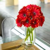 7 Hastes Com Flor Gérbera Artificial Realista Para Decoração Natural E Arranjos Florais Modernos