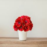 5 Galhos De Gérbera Artificial Colorida Para Arranjos Florais Sofisticados E Decoração Moderna