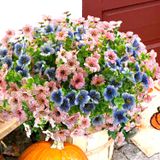 Pacote Trytuny De Flores Artificiais Resistente A Uv Para Exterior Com 20 Unidades