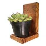 Floreira De Parede Pequena Porta Vaso