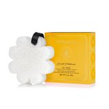 Sabonete Corporal E Esponja Esfoliante Spongellé Sweet Patchouli