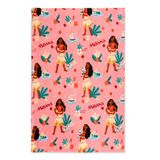 Manta Franco Disney Princess Moana 116x152cm