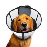Dog Cone Winweal Soft Para Cães Após Cirurgia M Black
