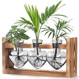 Estação De Propagação De Plantas Lifecapido Em Forma De Coração Com Suporte