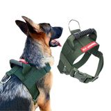 Peitoral Tático Para Cachorro - Tamanho M - Verde-militar
