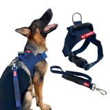 Peitoral Tático Com Guia Para Cachorro Médio - Azul-marinho