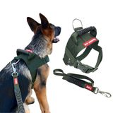 Peitoral Tático Com Guia Para Cachorro - M - Verde-militar