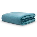 Cobertor Velour Queen 300g Neo Clássico Camesa Verde