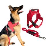 Peitoral Tático Com Guia Para Cachorro - G - Vermelho