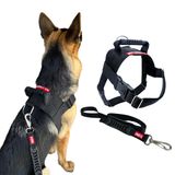 Peitoral Tático Com Guia Para Cachorro - G - Preto