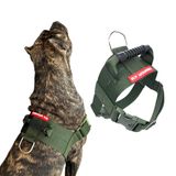 Peitoral Tático Para Cachorro - Tamanho Gg - Verde-militar