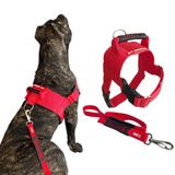 Peitoral Tático Com Guia Para Cachorro - Gg - Vermelho