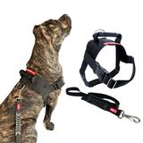 Peitoral Tático Com Guia Para Cachorro - Gg - Preto