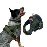 Peitoral Swat Para Cachorro - Verde/preto - Tamanho G