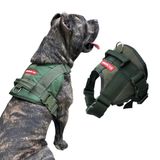Peitoral Swat Para Cachorro - Tamanho Gg - Verde Militar