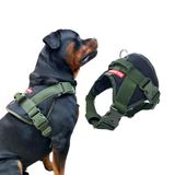 Peitoral Swat Para Cachorro - Preto/verde - Tamanho Gg