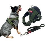 Peitoral Swat Com Guia Para Cachorro - Preto/verde - G