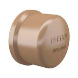 Cap Soldável De Pvc Marrom 20mm Fortlev 50 Unidades