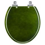 Assento Sanitário Com Amortecedor Convencional Oval Verde Degrade Para Todos Os Fabricantes