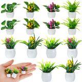Plantas De Casa De Bonecas Em Miniatura Skylety 14 Unidades Para Casa De Bonecas