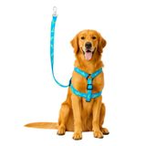 Guia Peitoral Coleira Pet Cachorro Médio Grande Porte 120cm