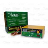 Carregador De Bateria Zebu Cb30i Inteligente Led Indicador