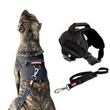 Peitoral Colete Com Guia Para Cachorro - Tamanho G - Preto