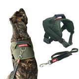 Peitoral Colete Com Guia Para Cachorro - Verde Militar - G
