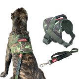 Peitoral Colete Com Guia Para Cachorro - G - Camuflado