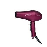 Secador De Cabelos Lizz Concept Com Motor Ac Profissional 2150w