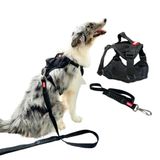 Peitoral Safari Com Guia Para Cachorro - Preto - G