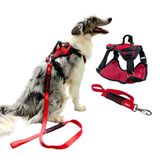 Peitoral Safari Com Guia Para Cachorro - G - Vermelho