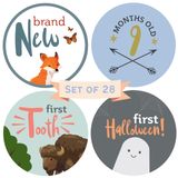 Adesivos Baby Milestone Rubyroo Monthly, Pacote Com 28, Woodland