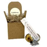 Anúncio De Gravidez: Ovo De Codorna, Surpresa, Jardim De Codornas