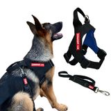 Peitoral Estriado Com Guia Para Cachorro - Preto - M