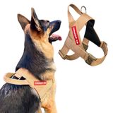 Peitoral Estriado Para Cachorro - Bege - Tamanho G