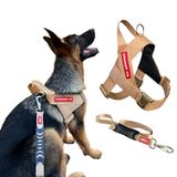 Peitoral Estriado Com Guia Para Cachorro - Tamanho M - Bege