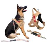Peitoral Estriado Com Guia Para Cachorro - Tamanho G - Bege