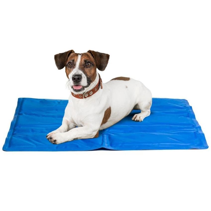 Tapete Colchonete Refrescante 40x50 Cm Para Pets Rg-0181 Ringo - imagem 5