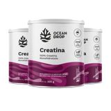 Kit 3 Creatina 100% Pura Monohidratada (300g) - Ocean Drop
