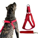 Peitoral Prático Com Guia Para Cachorro - Vermelho - Gg